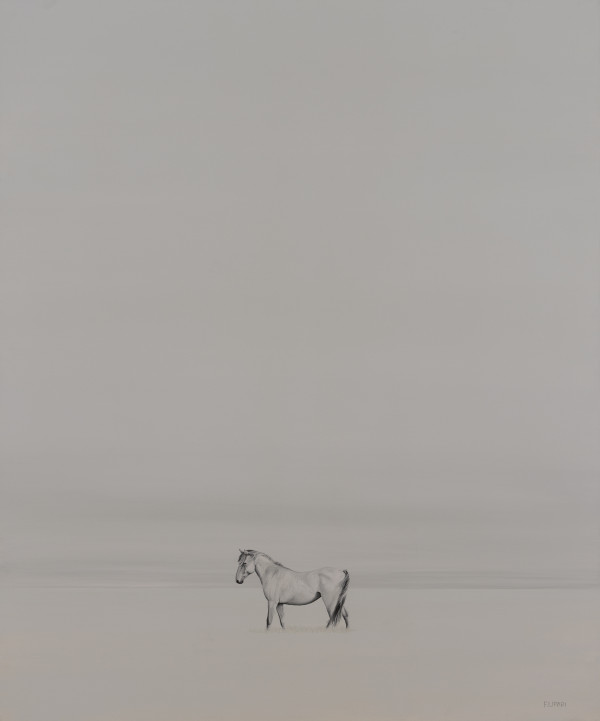 Wild Horse by F. Lipari