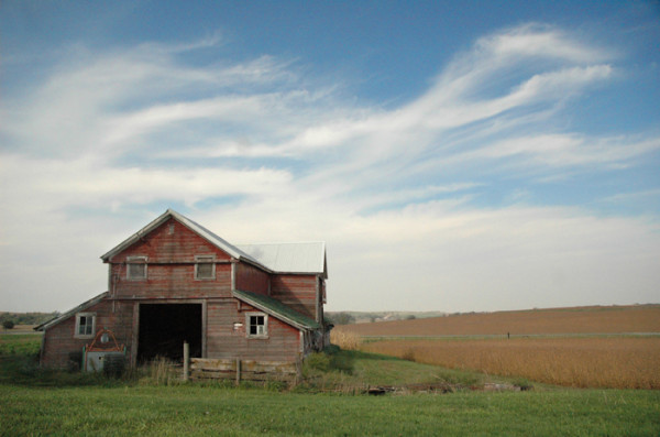 Barn, Field and Clouds in Autumn by Carol Abbott