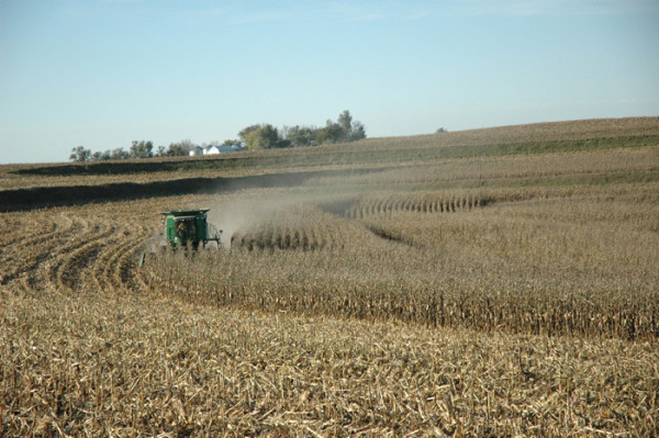 Corn Harvesting - Combine with Farm in Background by Carol Abbott