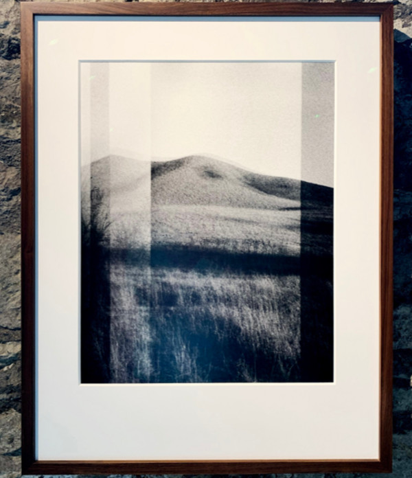 Across the internal Brush by Allegra Hangen