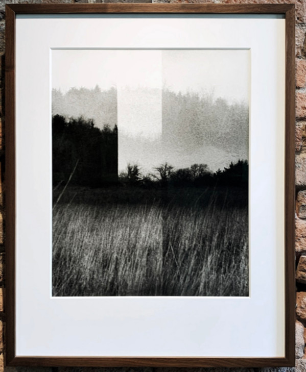 Searching within/for trees that understand by Allegra Hangen