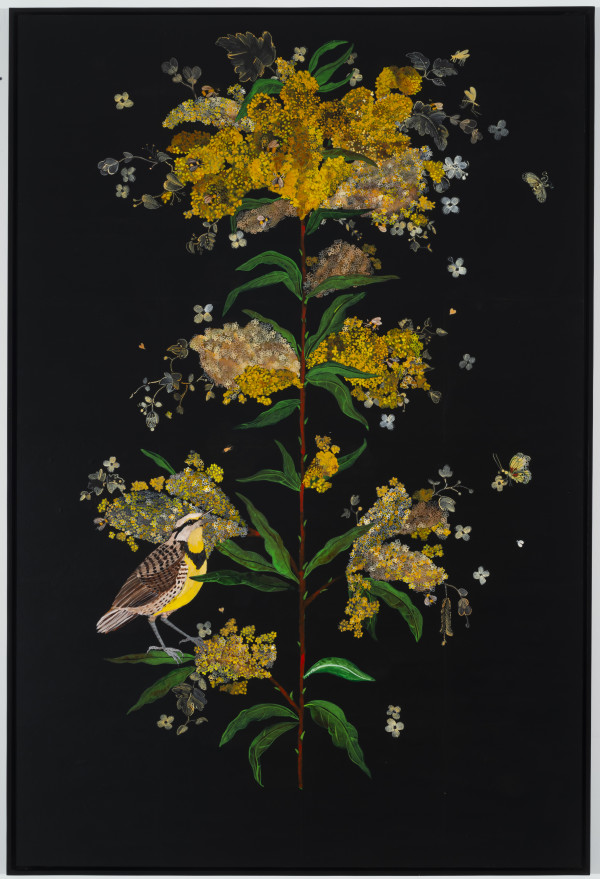 Gray Goldenrod, Western Meadowlark by Nancy Friedemann-Sánchez