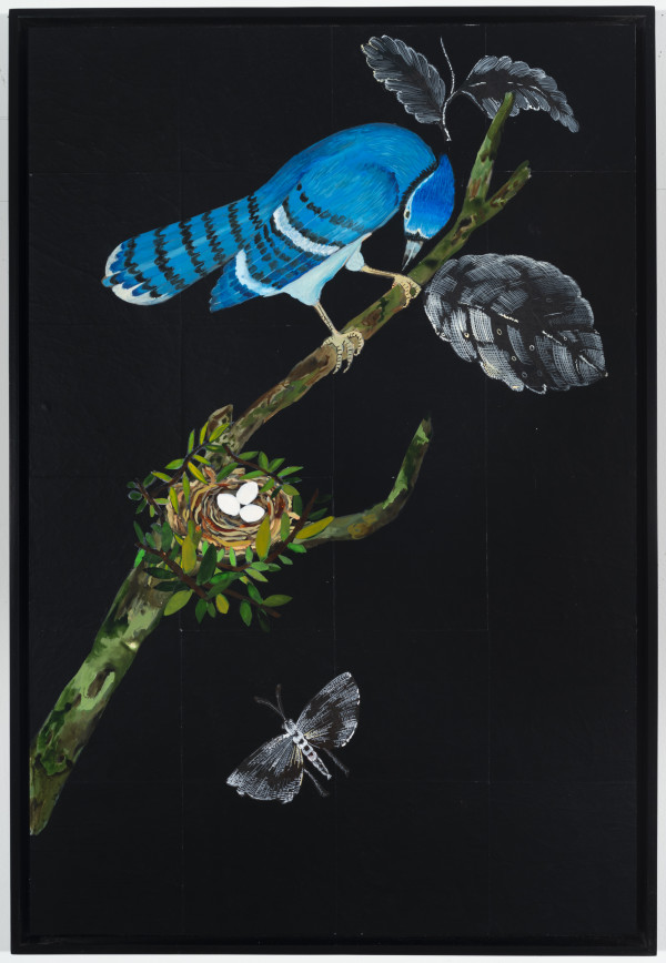 Blue Jay by Nancy Friedemann-Sánchez