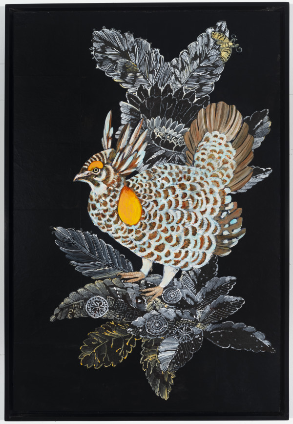 Greater Prairie-chicken by Nancy Friedemann-Sánchez