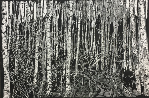 Poplars by Watie White