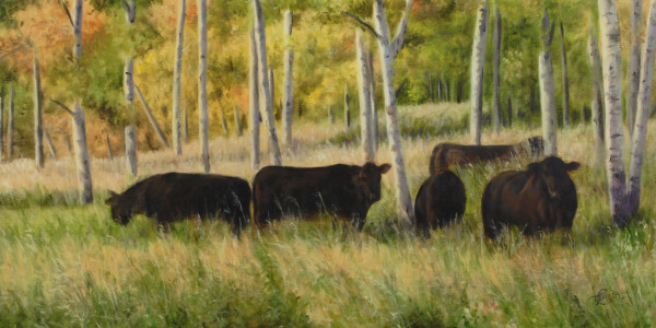 Black Angus Grazing by Tammy Taylor