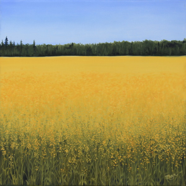 Field of Gold by Tammy Taylor