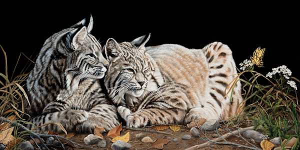 A Tranquil Moment by Tammy Taylor, Image 1.