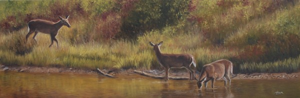 The Water Hole by Tammy Taylor