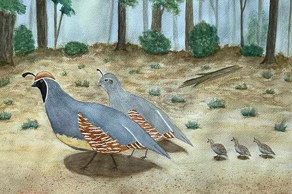 Family Stroll by Janine Wilson, Image 1.