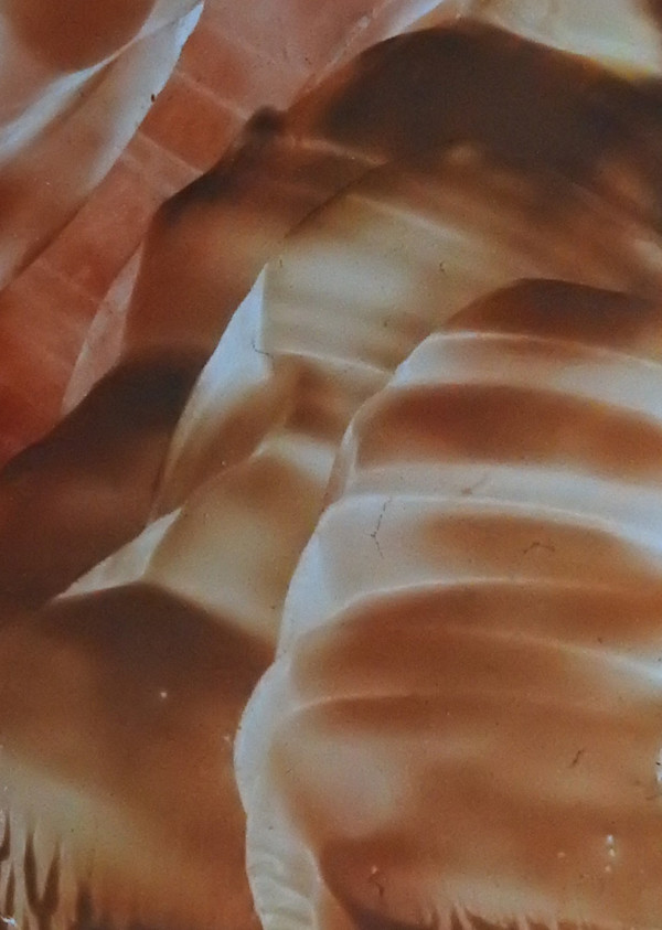 Southwest Canyon by Janine Wilson, Image 1.