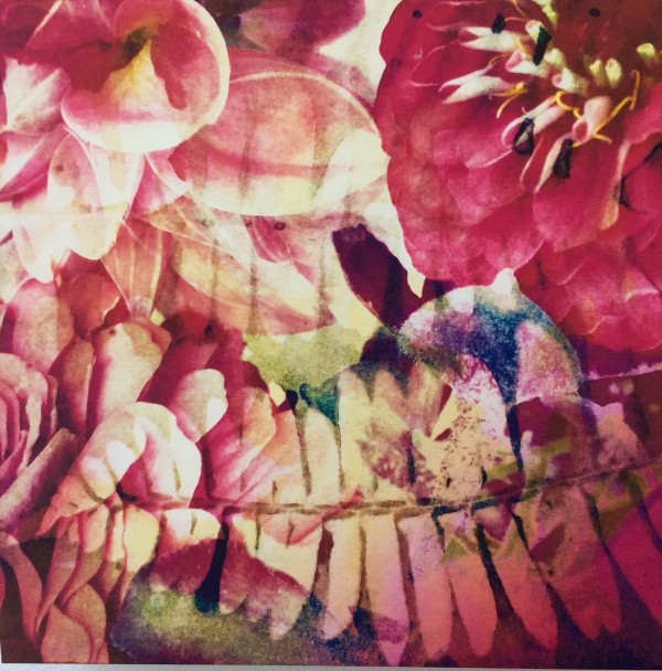 Flowers & Ferns by Lesley Riley