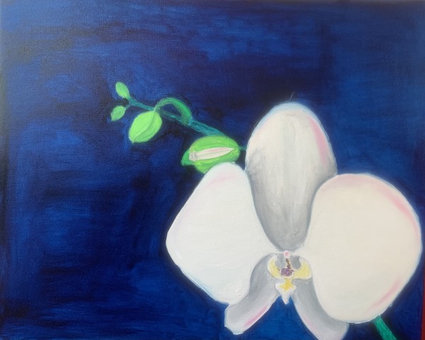 Simple Orchid by Christopher Hoppe