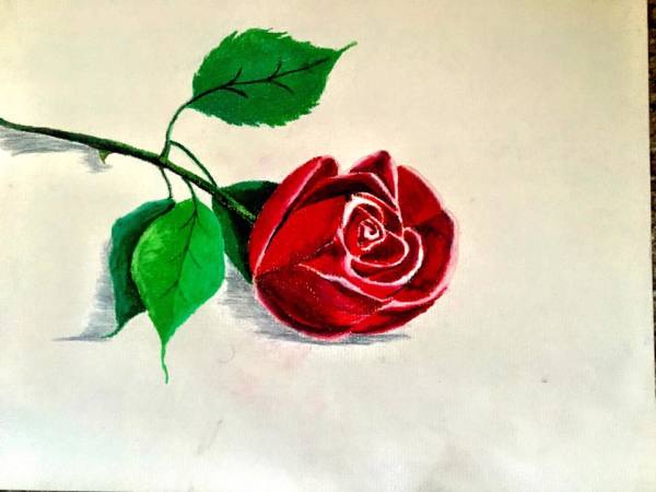 Final Rose by Christopher John Hoppe