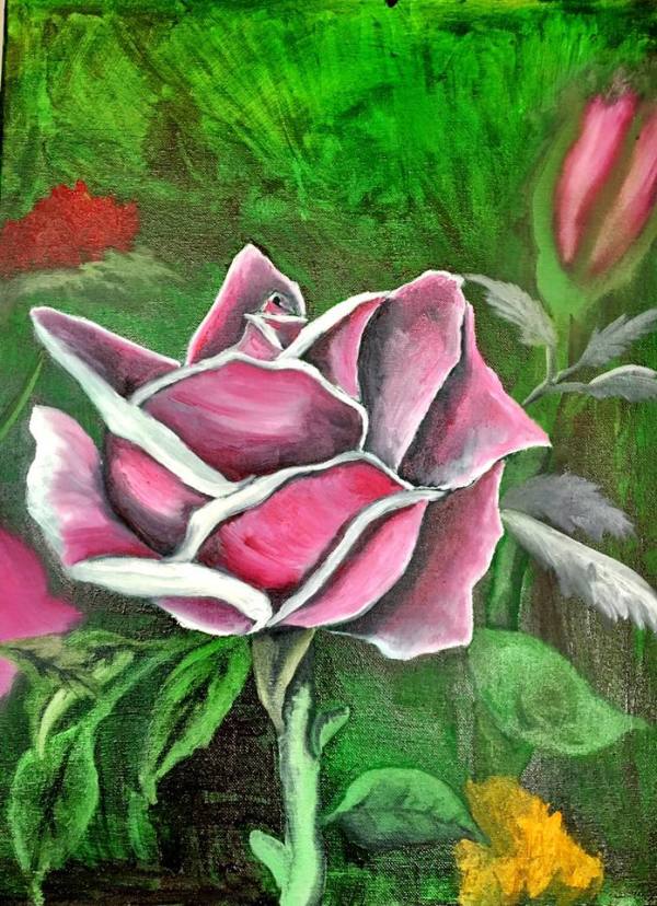 Pink N White Rose by Christopher John Hoppe