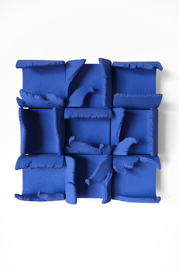 Bluets by BEN MEDANSKY, Image 1.