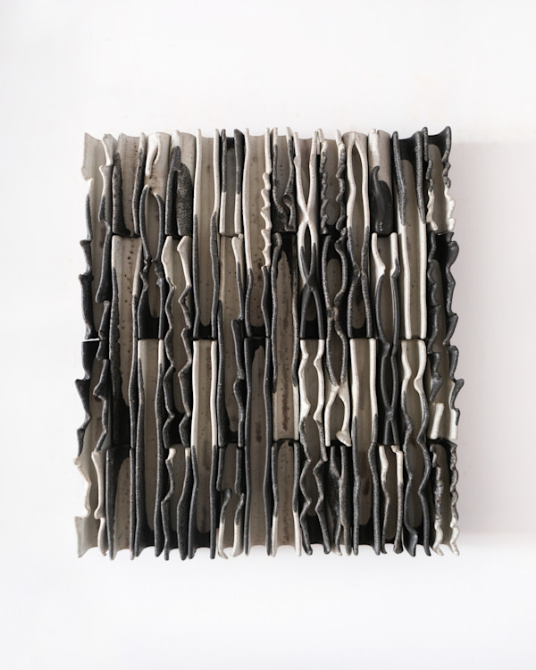 Little Black and White Waves by BEN MEDANSKY