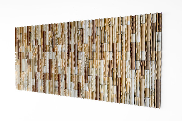 Desert Sand Waves by BEN MEDANSKY