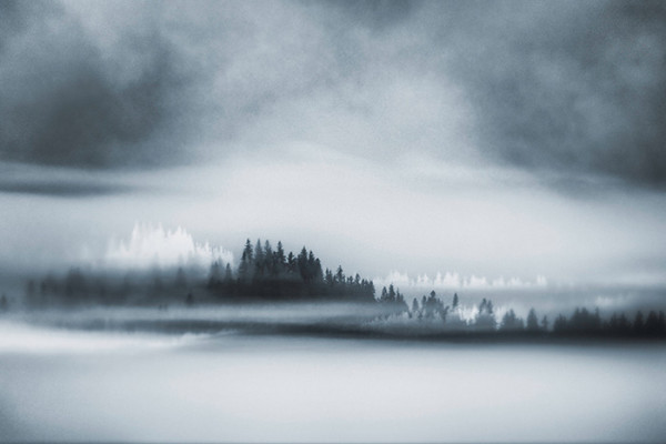 7th Place – Overall - Robbi Ling Montgomery - “Haunting Fog” – www.robbilingmontgomeryimages.com by Robbi Ling  Montgomery 
