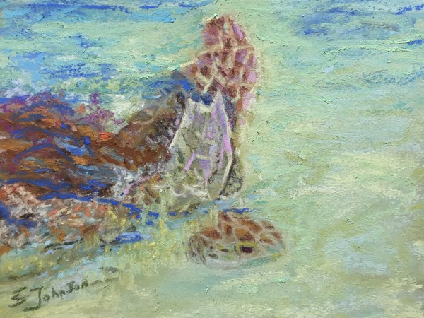 Sea Turtle by Susan  Frances Johnson