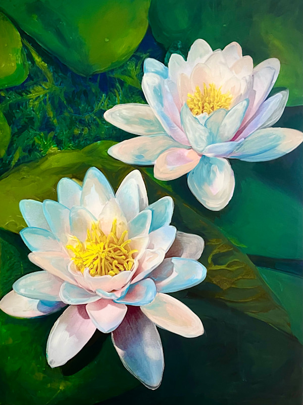 Two Pink Water Lilies by Karen Elizabeth LeCocq