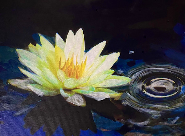 Water Lily With Capillary Wave by Karen Elizabeth LeCocq