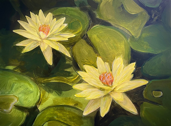 Two Yellow Water Lilies by Karen Elizabeth LeCocq