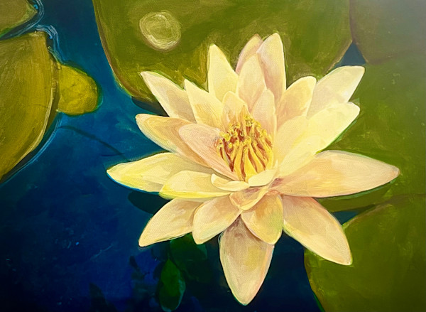 Water Lily, Water Droplet by Karen Elizabeth LeCocq