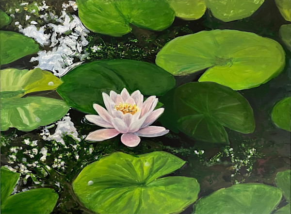 Pink Water Lily by Karen Elizabeth LeCocq