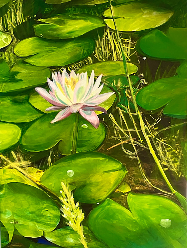 Water Lily by Karen Elizabeth LeCocq