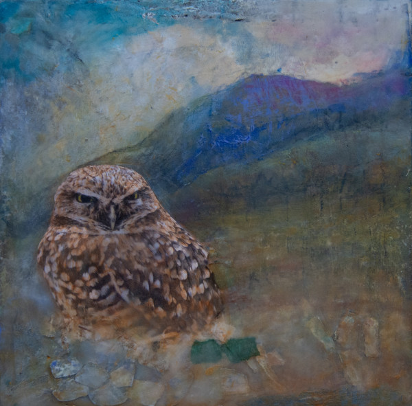 Burrowing Owl by Alise Sheehan Art