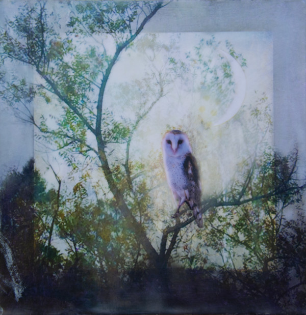 The Owl And The Moon by Alise Sheehan Art