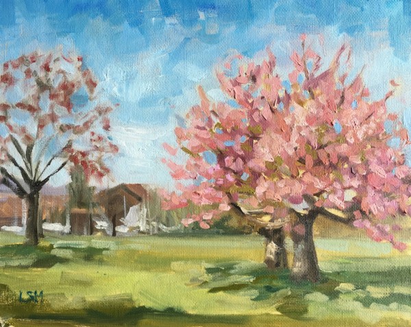 Cherry Blossoms at Branford Park, Branford, CT by Linda S. Marino