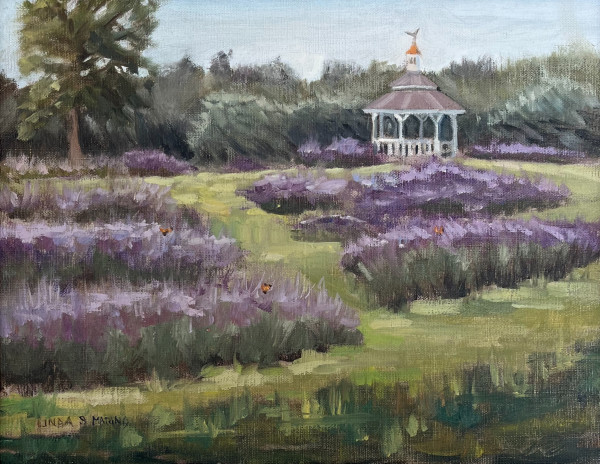 Lavender Fields, Lavender Pond Farm, Killingworth, CT by Linda S. Marino