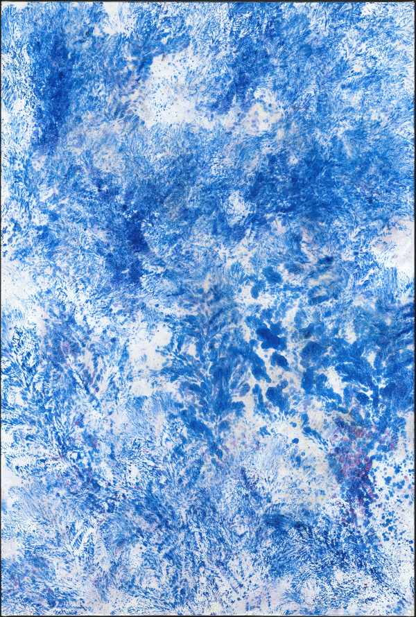 Blue Spruce by Anne Labovitz