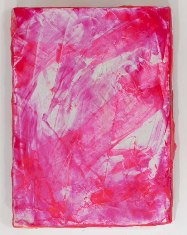 Pink by Anne Labovitz