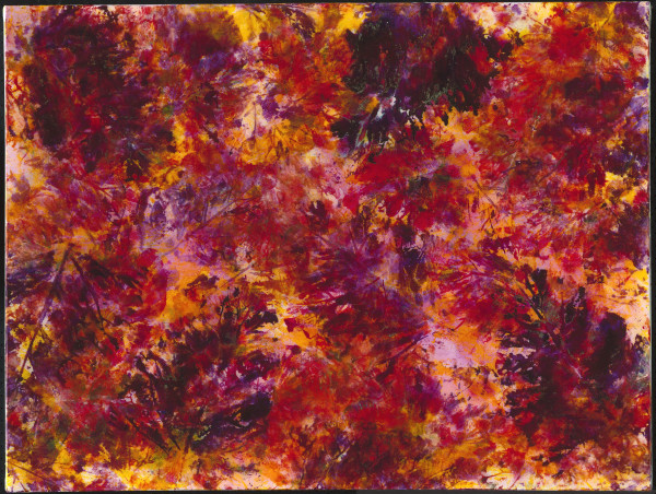 Rhododendron by Anne Labovitz