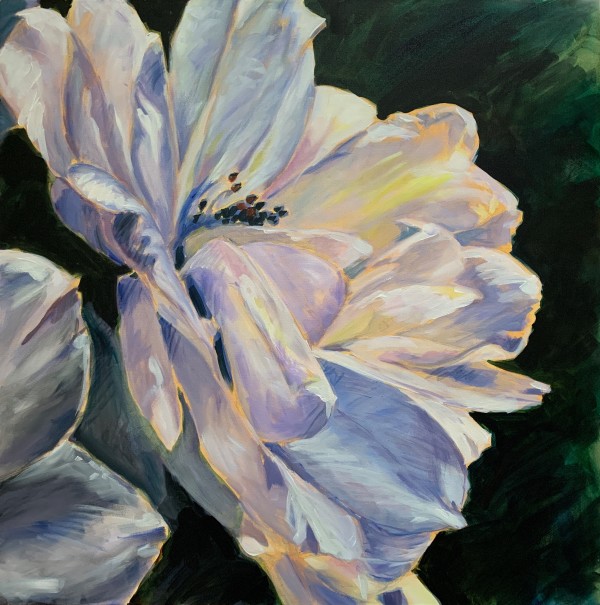 Here comes the sun by Marcia Hoeck