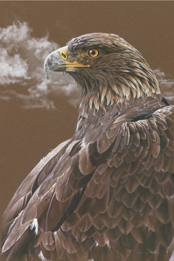 Golden Eagle Majesty by Rhonda Nass