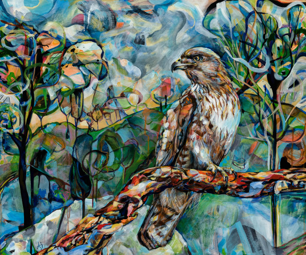 The Lookout (Red-tailed Hawk) by Anna Iris Graham