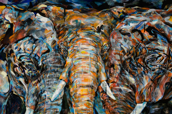 Elephant, Elephant, Elephant, Night by Anna Iris Graham