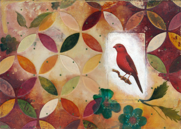 Australian Crimson Finch by Heather Robinson