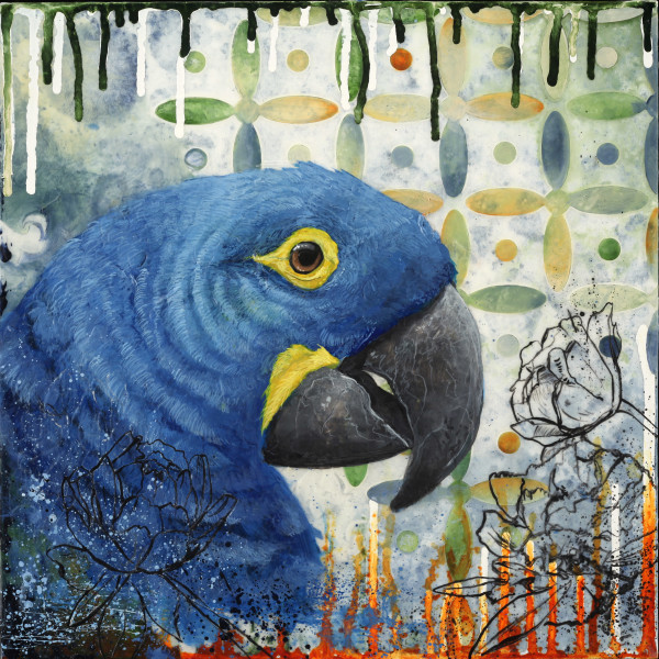 Glimpse of Azure (Hyacinth Macaw) by Josh Coffy and Heather Robinson