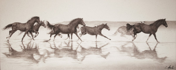 Reflections of Freedom by Carol L. Acedo
