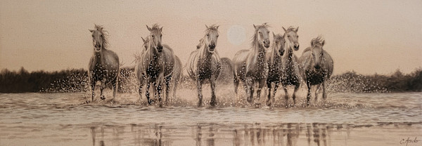 White Thunder by Carol L. Acedo, Image 1.