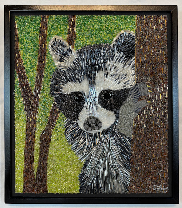 Peak a Boo - Raccoon by Sabrina Frey