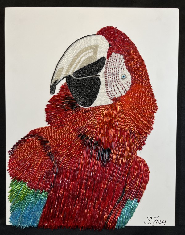 Rita - Macaw by Sabrina Frey