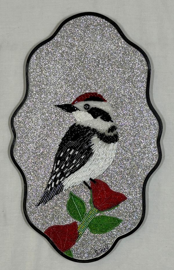 Downey Spotted Woodpecker by Sabrina Frey