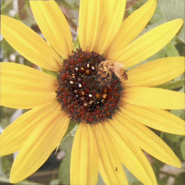 Bee on Sunflower by Kathy Mitchell-Garton