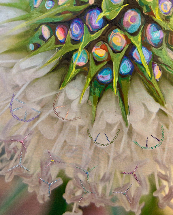 Dipsacus by Kathy Mitchell-Garton, Image 1.